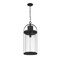Z-Lite Roundhouse 1 Light Outdoor Chain Mount Ceiling Fixture, Black And Clear Seedy 569CHXL-BK - alternate 2